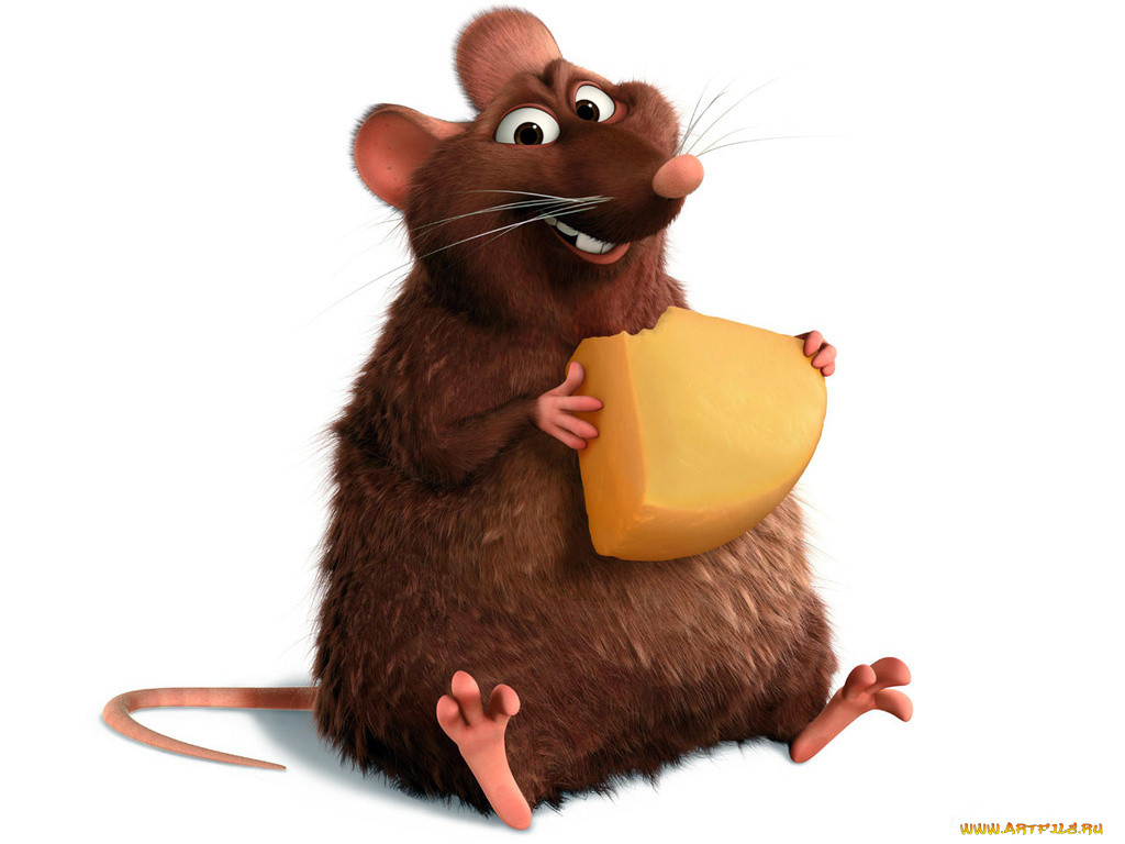 , ratatouille